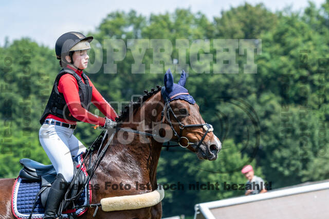 Goldene Schärpe 2021 - Ponys