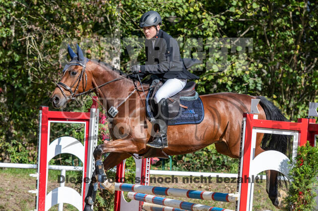 RFV Dinslaken-Hiesfeld (Herbstturnier)