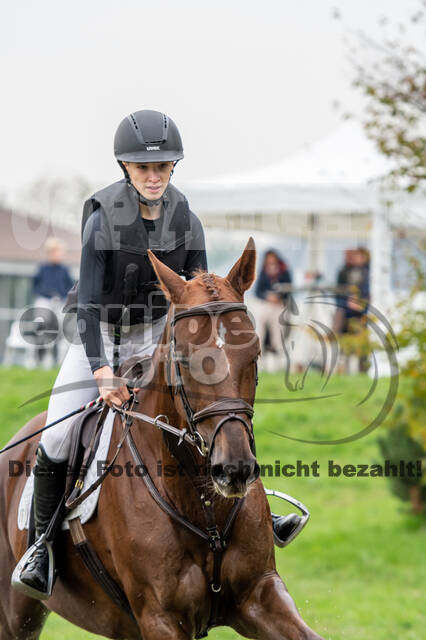 Goldene Schärpe 2020 - Pferde