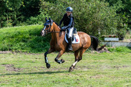 Goldene Schärpe 2021 - Ponys