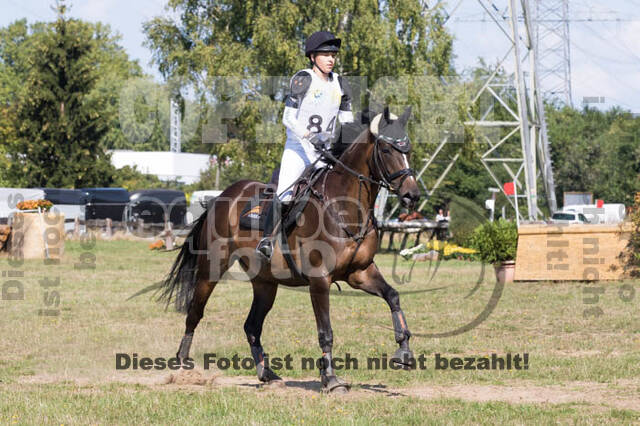 Vielseitigkeitsturnier RSV St. Hubertus Wesel Obrighoven