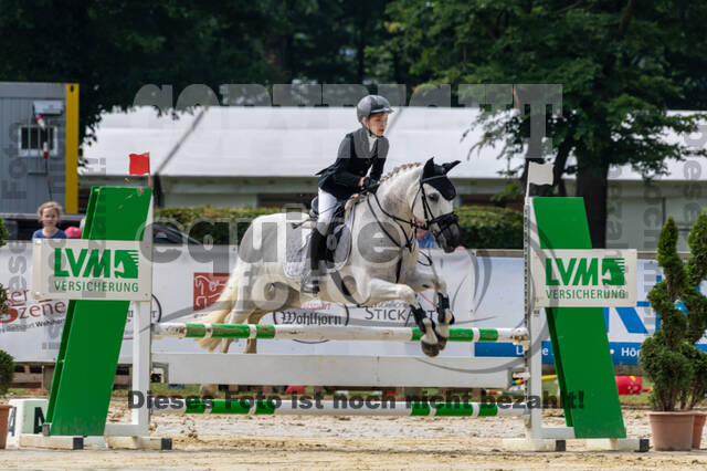 Goldene Schärpe 2021 - Ponys