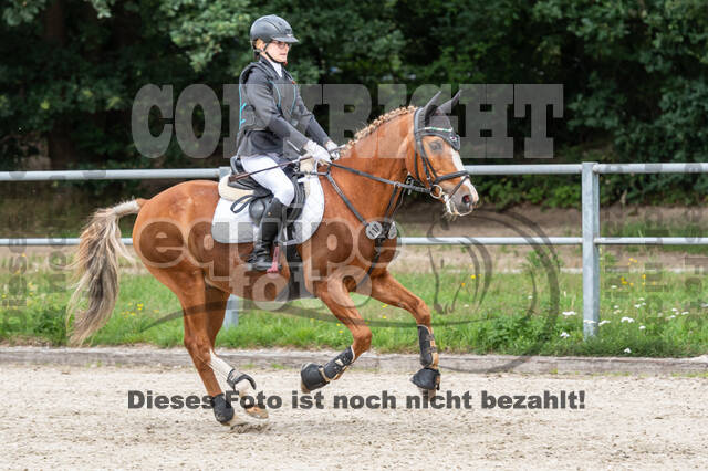 Late-Entry-Vielseitigkeit Langenfeld (06.+07.07.2020)