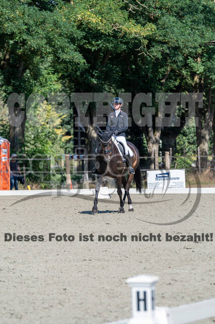 Kronenberg - De Peelbergen (August 2020)