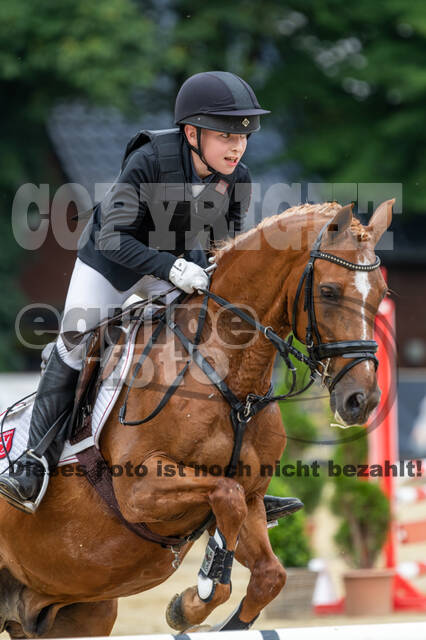 Goldene Schärpe 2021 - Ponys