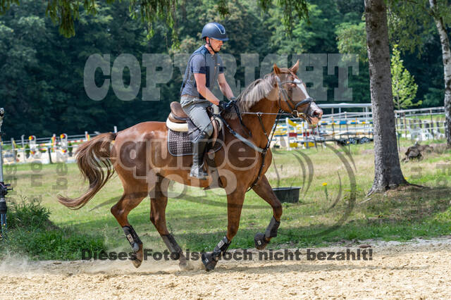 Hunter Geländetraining 10.07.2021 (Sonsbeck)