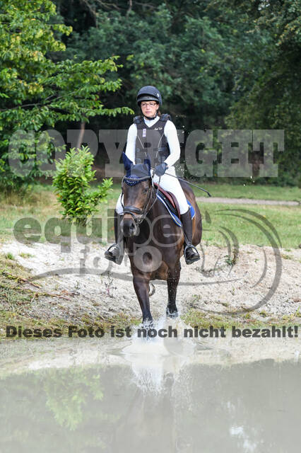 Late-Entry-Vielseitigkeit Langenfeld (11.+13./14.06.2020)