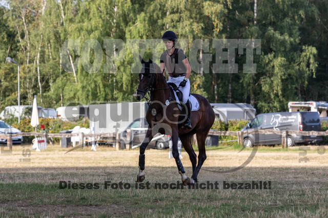 Late-Entry Vielseitigkeit Hamminkeln/Wesel (01.+02.08.2020)