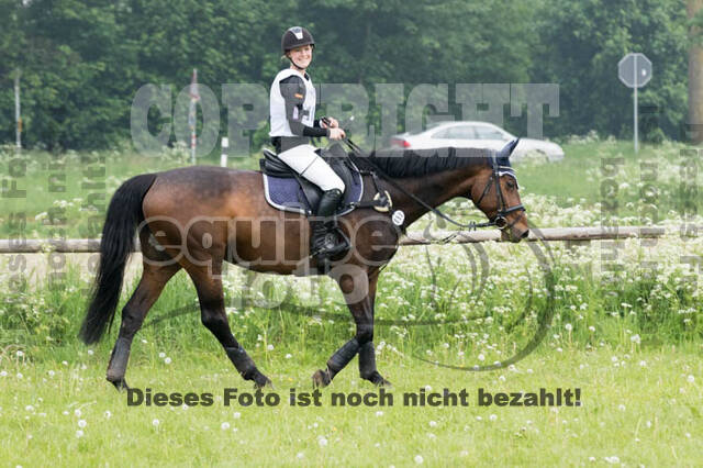 Vielseitigkeitsturnier ZRFV von Lützow Hamminkeln