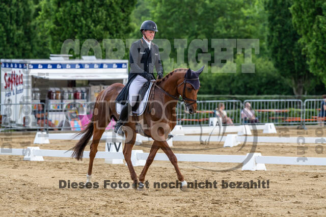 Westerstede Horse Trials 2021