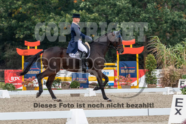 Deutsche Meisterschaft Vielseitigkeit (Luhmühlen)