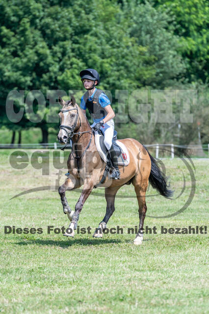 Goldene Schärpe 2021 - Ponys