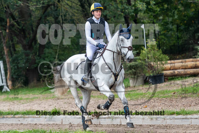 Goldene Schärpe 2020 - Pferde