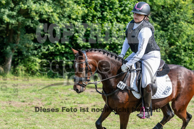 Goldene Schärpe 2021 - Ponys