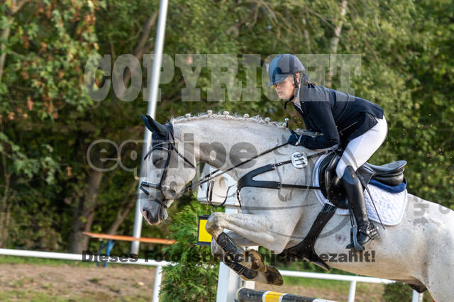 RFV Dinslaken-Hiesfeld (Herbstturnier)