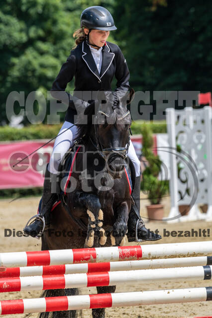 Goldene Schärpe 2021 - Ponys