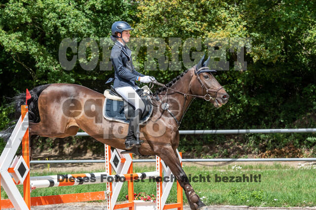 Late-Entry-Vielseitigkeit Langenfeld (06.+07.07.2020)