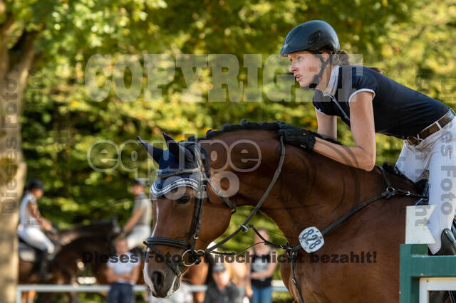 RFV Dinslaken-Hiesfeld (Herbstturnier)