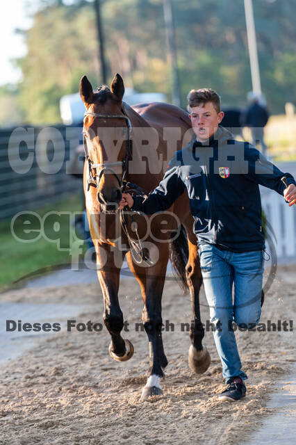 Deutsche Meisterschaft Vielseitigkeit (Luhmühlen)