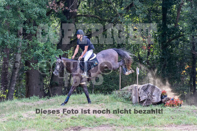 Late-Entry Vielseitigkeit Hamminkeln/Wesel (01.+02.08.2020)