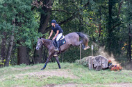 Late-Entry Vielseitigkeit Hamminkeln/Wesel (01.+02.08.2020)