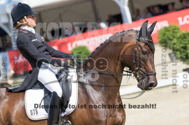 FEI European Championship Eventing 2017