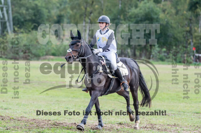 Vielseitigkeit RSV Wesel Obrighoven (26.+27.09.2020)