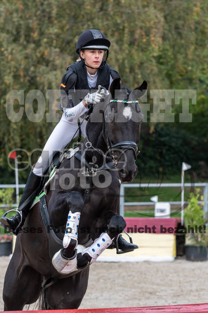 Goldene Schärpe 2020 - Pferde