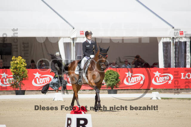 FEI European Championship Eventing 2017