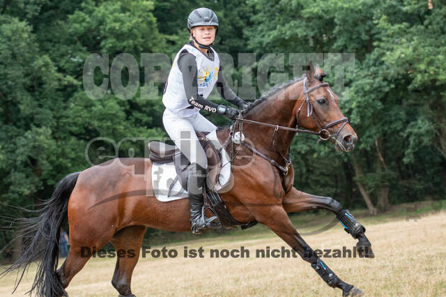 Late-Entry Vielseitigkeit Hamminkeln/Wesel (01.+02.08.2020)