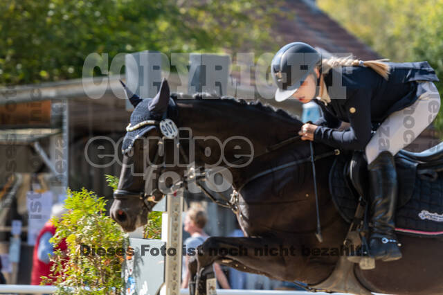 RFV Dinslaken-Hiesfeld (Herbstturnier)