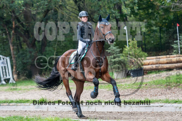 Goldene Schärpe 2020 - Pferde