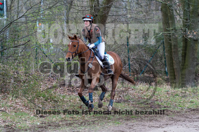 Eventing im Pferdesportzentrum Rheinland (Late Entry 14.03.2022)