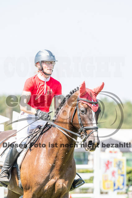 Kronenberg - De Peelbergen (August 2020)