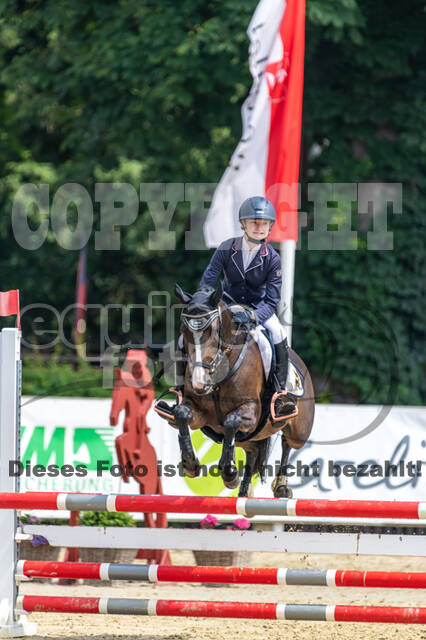 Goldene Schärpe 2021 - Ponys