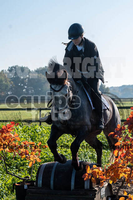 Vielseitigkeitslehrgang mit Jürg Kurbel (9.+10.11.2019)