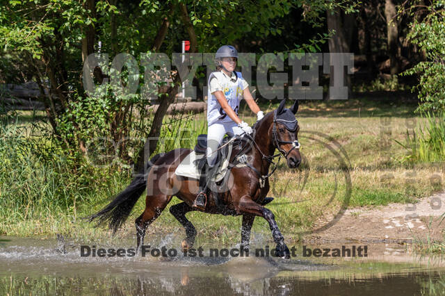 Late-Entry Vielseitigkeit Hamminkeln/Wesel (01.+02.08.2020)