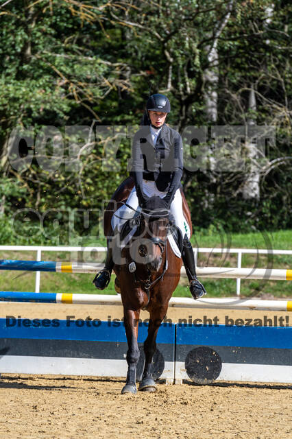 RFV Dinslaken-Hiesfeld (Herbstturnier)