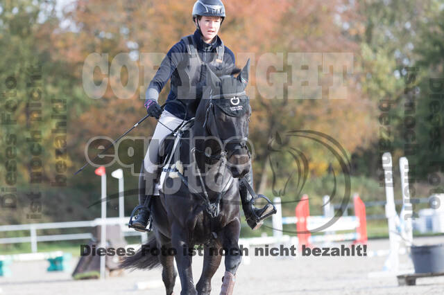 IGV Lehrgang der Sieger der Cups mit Frank Ostholt
