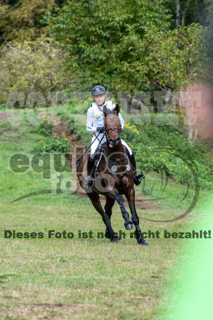 Vielseitigkeit RSV Wesel Obrighoven (26.+27.09.2020)