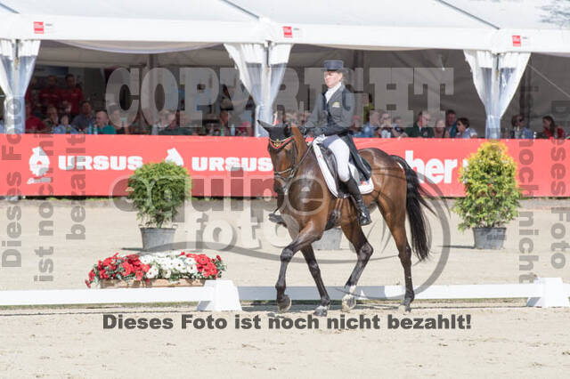 FEI European Championship Eventing 2017