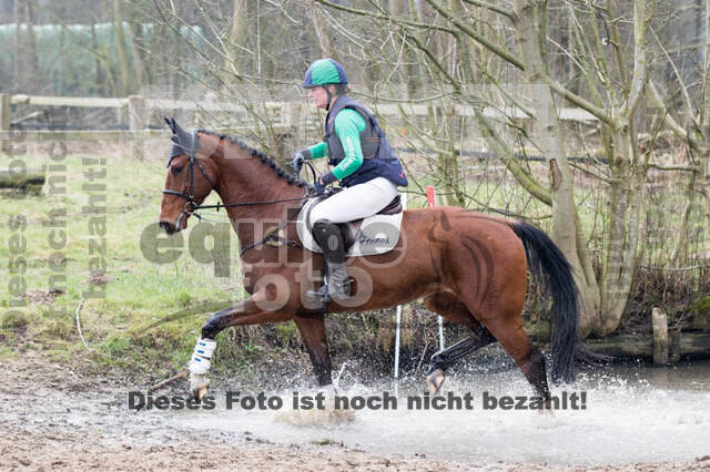 Jungpferdetag Hamminkeln