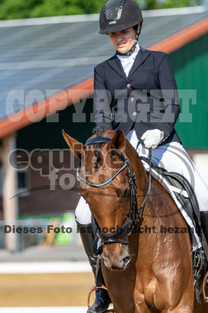 Westerstede Horse Trials 2021