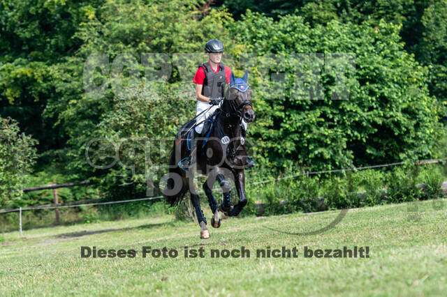 Goldene Schärpe 2021 - Ponys