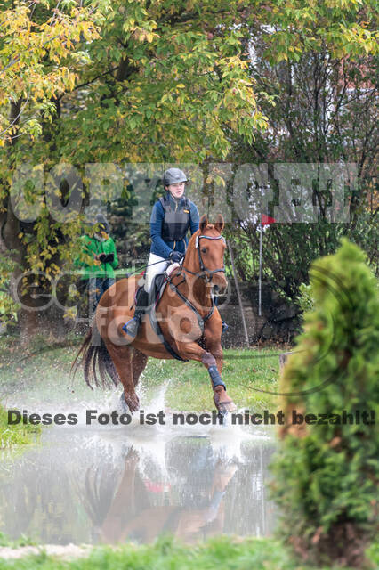 Goldene Schärpe 2020 - Pferde