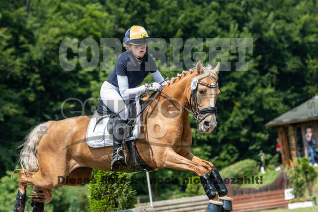 Goldene Schärpe 2021 - Ponys