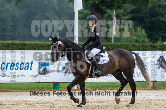 Goldene Schärpe 2021 - Ponys