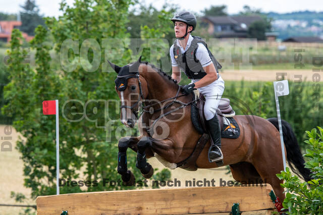 Bonn-Rodderberg Late-Entry-Vielseitigkeit (30.06.2020)