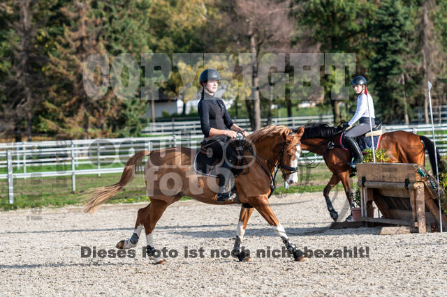 IGV Lehrgang der Sieger der Cups mit Frank Ostholt