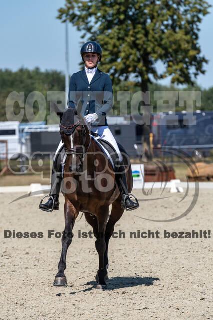 Kronenberg - De Peelbergen (August 2020)